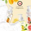 Hand Soaps - Variety Fragrances - Lovery Skincare - 10-Pack