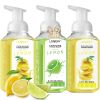 Foaming Hand Soap - Lemon & Lime - Lovery Skincare - 3-Pack