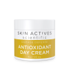 Moisturizer - Antioxidant Day Cream - Skin Actives - 4.0 oz.