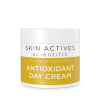 Moisturizer - Antioxidant Day Cream - Skin Actives - 4.0 oz.