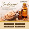 Gift Set for Men - Sandalwood - Lovery Skincare - 15-Piece