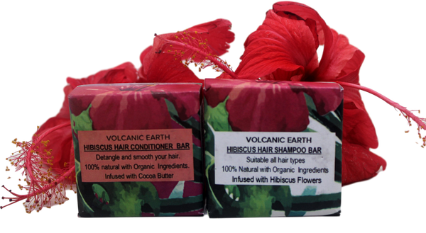 Shampoo and Conditioner Bars - Volcanic Earth - 4.22 oz.