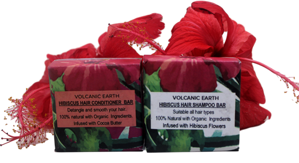 Shampoo and Conditioner Bars - Volcanic Earth - 4.22 oz.